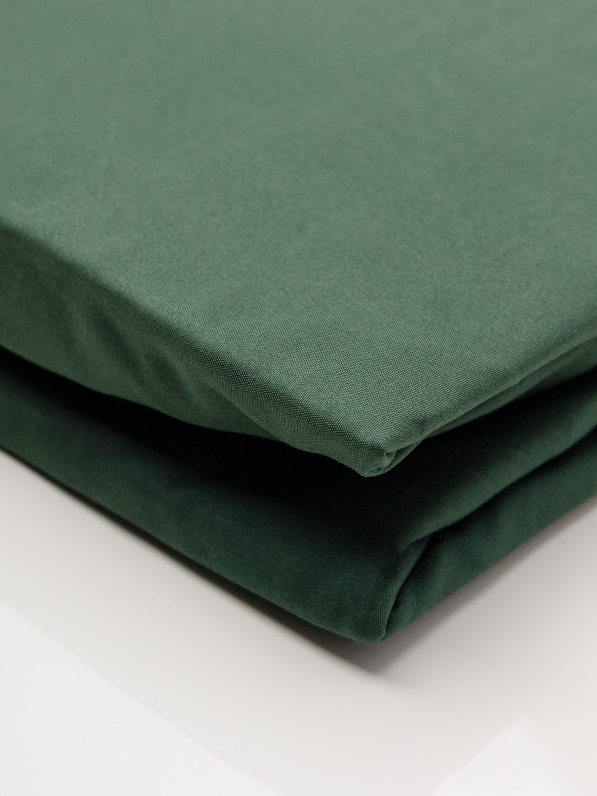 palagi_novembris 01, 2024_22