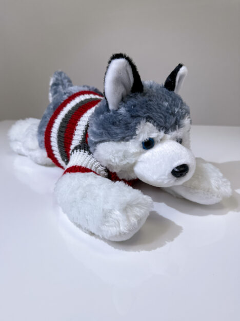 Mīkstā rotaļlieta Haskijs